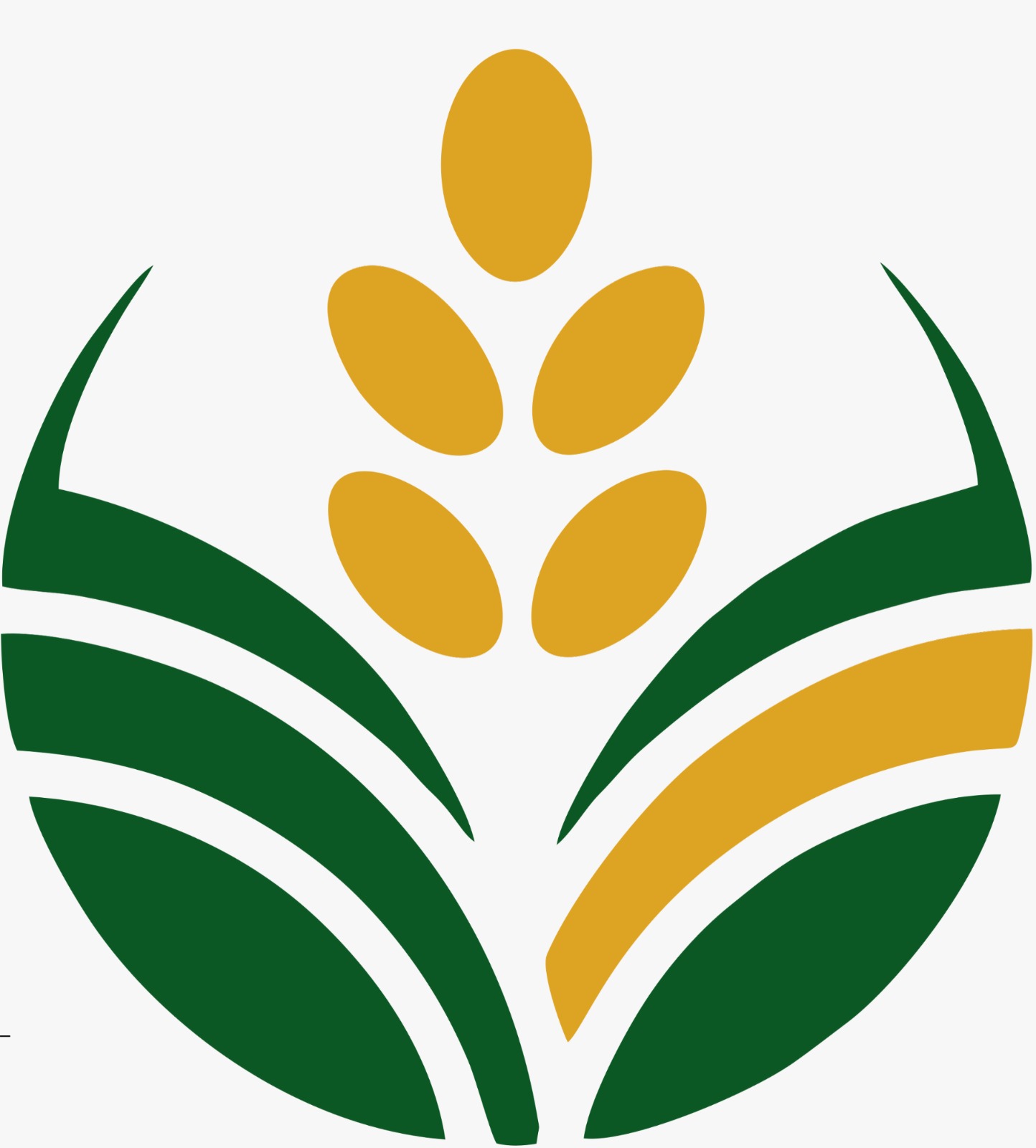 Femiaura Exim Logo